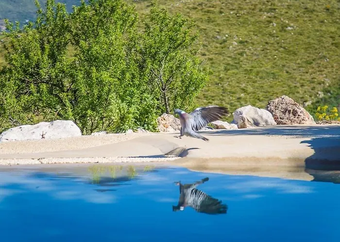 Willa Belle Vue Sarmuci